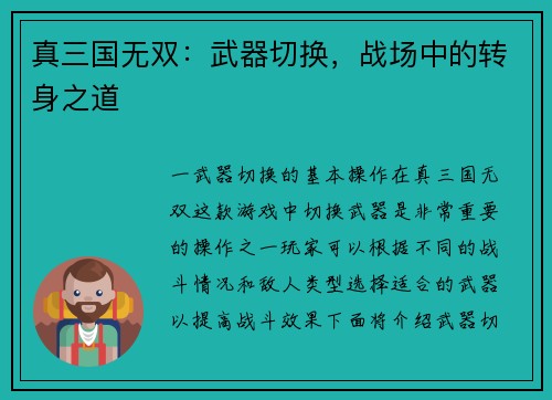 真三国无双：武器切换，战场中的转身之道